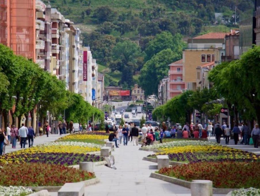 Flat Moderno E Central Em Брага Екстер'єр фото